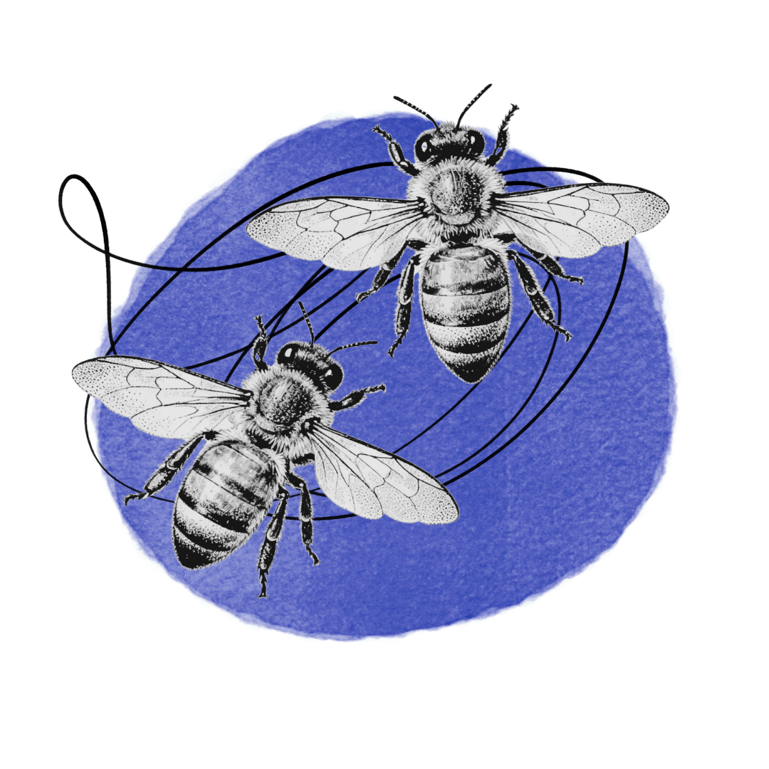 Bees and blue circle collage representing Team Coaching